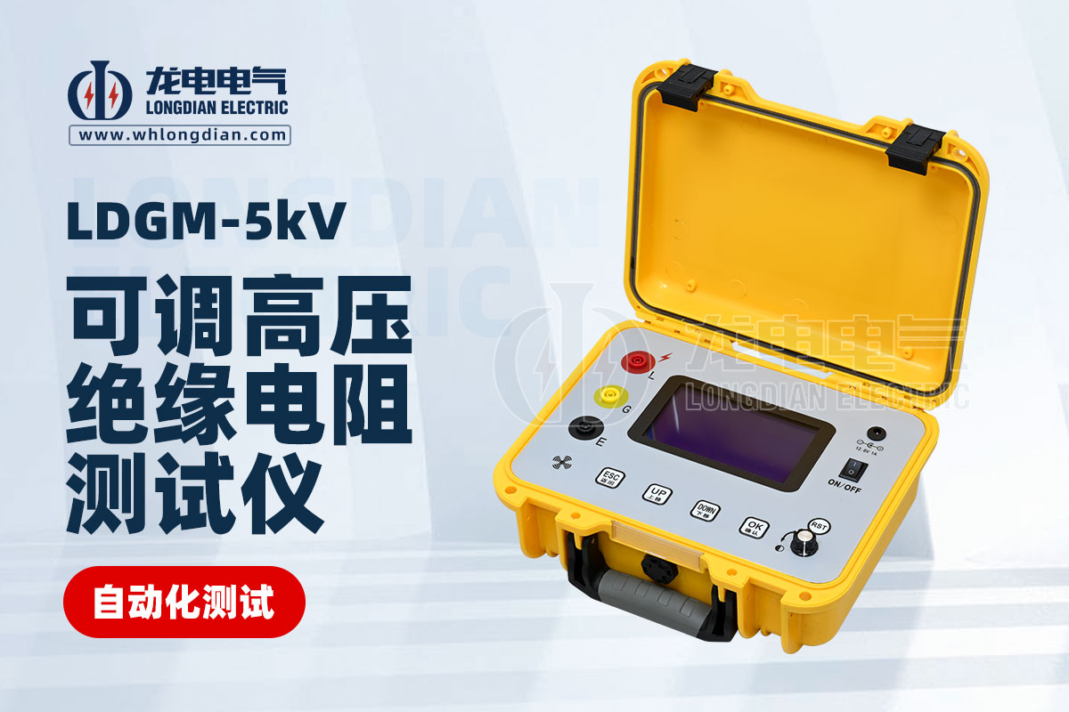 LDGM-5KV絕緣電阻測(cè)試儀