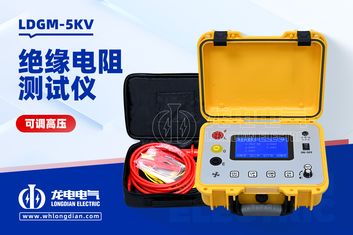 LDGM-5KV 可調高壓絕緣電阻測試儀